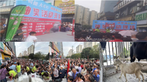 抽奖盛宴，共绘商业新篇章